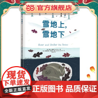 雪地上,雪地下(让自然的广阔多态启迪孩子对生命的尊重和热爱)