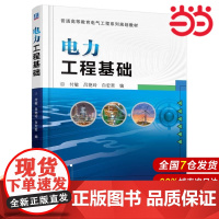 电力工程基础.付敏 吕艳玲 白宏哲9787111549840/机械工业出版社