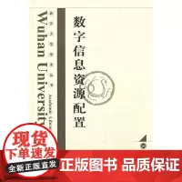 数字信息资源配置