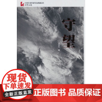 守望(中国专业作家作品典藏文库·石钟山卷)