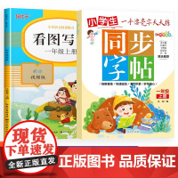 同步字帖-一年级上册