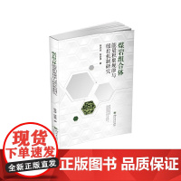 煤岩组合体能量积聚规律与缓控机制研究