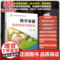 畜禽科学养殖提质增效关键技术丛书 科学养猪提质增效关键技术 科学养猪参考书 猪的营养与饲料 高等院校畜牧兽医等专业应用教