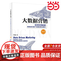 大数据营销:如何利用数据精准定位客户及重构商业模式(第2版)