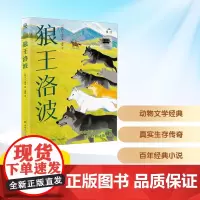 狼王洛波 2025年暑假百班千人五年级 小学生10-11岁阅读课外书经典儿童文学湖南少年儿童出版社新华正版书籍