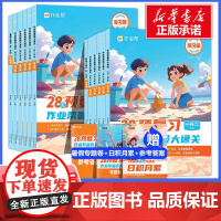 2024新作业帮暑假大通关一升二升三升四升五升六年级暑假作业幼小衔接课后大通关小学专项阅读训练学霸的暑假衔接作业本上下册