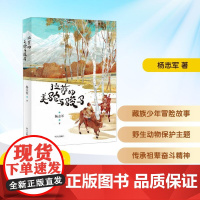拉萨的美驼与骏马 2025年暑假百班千人六年级 杨志军 著小学生11-12岁阅读课外书经典儿童文学明天出版社新华正版书