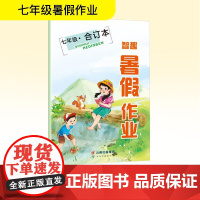 智趣暑假作业 七年级·合订本 李兵 编 中学教辅文教 正版图书籍 云南科技出版社