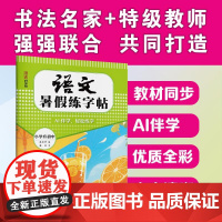 湖美好字帖·语文暑假练字帖·小学升初中 吴庆芳 著 中学教辅文教 正版图书籍 湖北美术出版社