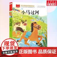 小马过河小学语文课外阅读经典丛书彩图注音版 低年级读物一年级二年级课外书小学生课外阅读书籍带拼音儿童文学寒暑假书目正