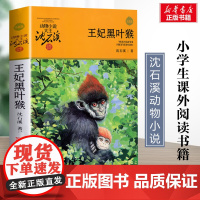 王妃黑叶猴 升级版 沈石溪动物小说正版品藏书系 小学生三年级四年级课外书7-8-9-10岁寒暑假课外书阅读浙江少年儿童出