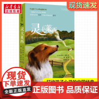 灵犬莱西 打动孩子心灵的经典童话故事儿童文学小学生二年级三年级四年级寒暑假课外书正版中国少年儿童出版社