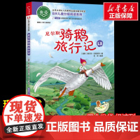 尼尔斯骑鹅旅行记 少儿中外注音名著美绘版原著完整版经典名著儿童故事书必小学生一二三四五六年级课外书阅读寒暑假书正版