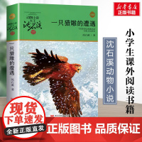 一只猎雕的遭遇 升级版 沈石溪动物小说正版品藏书系 小学生三年级四年级课外书7-8-9-10岁寒暑假课外书浙江少年儿童出