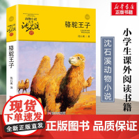 骆驼王子 升级版 沈石溪动物小说正版品藏书系 小学生三年级四年级课外书7-8-9-10岁寒暑假课外书阅读浙江少年儿童出版