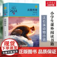 兵猴传奇 升级版 沈石溪动物小说正版品藏书系 小学生三年级四年级课外书7-8-9-10岁寒暑假课外书阅读浙江少年儿童出版