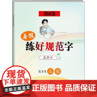 暑假练好规范字 五升六 吴玉生 著 小学教辅文教 正版图书籍 湖北教育出版社