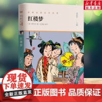 红楼梦 世界少年文学经典文库升级版任溶溶主编名著必青少年小学生三四五六年级课外书阅读寒暑假书目儿童文学故事书正版