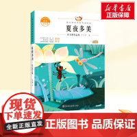夏夜多美 一年级下册人教版教材同步阅读语文课本作家作品系列老师正版经典书目寒暑假儿童文学作品读物小学生故事书