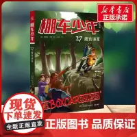 棚车少年 露营迷案 中英双语 钱德勒·华娜 著湖南少年儿童出版社 儿童文学小学生一年级二年级三年级课外书正版寒假暑假