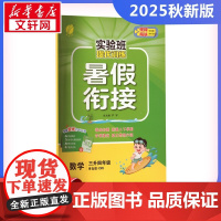 实验班提优训练暑假衔接 数学 三升四年级 青岛版(QD) 严军 编 小学教辅文教 正版图书籍 江苏人民出版社