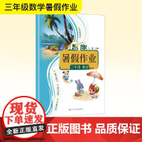 智趣暑假作业 三年级 数学 冀教版 王媛 编 小学教辅文教 正版图书籍 云南科技出版社
