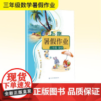 智趣暑假作业 三年级 数学 人教版 李兵 编 小学教辅文教 正版图书籍 云南科技出版社