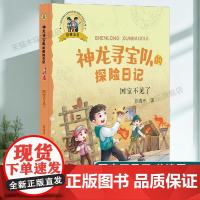 神龙寻宝队的探险日记(彩图注音)国宝不见了在故事中了解中国历史一二年级小学生暑假历史启蒙冒险刺激故事6-9岁儿童故事书带