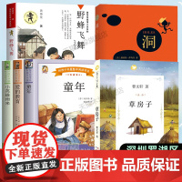 2024深圳市罗湖区六年级上学期暑假阅读书目草房子+野蜂飞舞+洞+童年适合10-11-12岁小学生课外阅读书儿童文学图书
