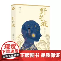 野芒坡 殷健灵儿童文学长篇力作 小学生课外书籍 男孩成长励志故事 寒暑假阅读书单