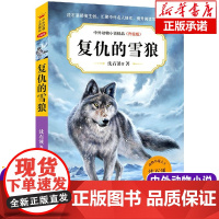 复仇的雪狼 中外动物小说精品升级版 沈石溪等著小学生3456年级语文课外阅读书籍11-14岁青少年儿童文学读物寒暑假课外
