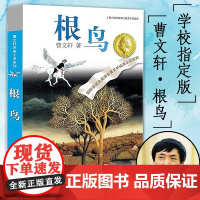 根鸟 草房子作者曹纯美小说 7-8-9-12岁三四五六年级中小学生课外阅读书籍 少儿童文学教辅读物 寒暑假阅读书目 正版