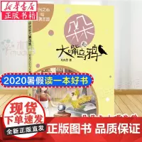 月光之心与人偶王国/朵朵和大嘴乌鸦 马传思著 四川文艺出版社 暑假读一本好书 书目 小学生四五六年级课外书籍 正版