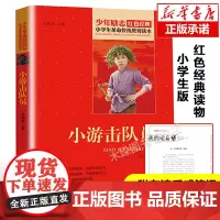 小游击队员 小学生红色经典书籍革命传统教育读本 三四五六年级寒暑假学校 书目儿童课外读物书革命英雄故事书正版