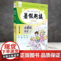 英语(小升初)/暑假衔接培优100分