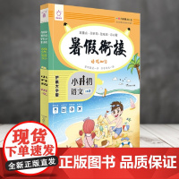 语文(小升初)/暑假衔接培优100分