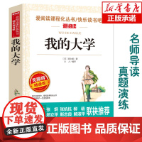 正版 我的大学 高尔基三部曲之一 爱阅读语文阅读丛书 无障碍精读版世界名著 中小学生课外阅读6-12周岁儿童文学小说寒暑