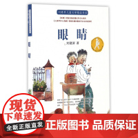 正版 眼睛书 刘健屏儿童文学精品书系儿6-12岁一二三四五六年级小学生课外阅读书籍书目寒暑假阅读图书
