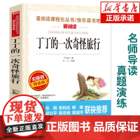 丁丁的一次奇怪旅行(无障碍精读版)/爱阅读语文阅读 中小学生课外阅读6-12周岁儿童文学小说 世界名著寒暑假开学季名著阅