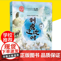 驯鹿迁徙时 2019暑假读一本好书推 荐阅读 儿童文学书系袁博动物小说拼音版 小学生一二年级课外阅读书籍6-7-8-9-