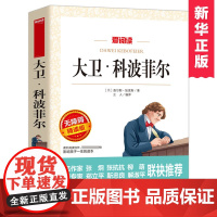 大卫·科波菲尔 老师 小学生课外阅读书籍小学生故事书 寒暑假课外书 儿童读物 小学生 1-6年级阅读课外读物