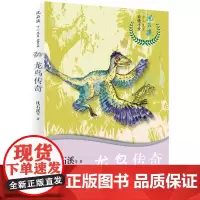 龙鸟传奇 沈石溪十二生肖动物小说 8-10-12岁小学生三四五六年级儿童文学小说故事书课外书籍寒暑假学校 阅读书目新华正