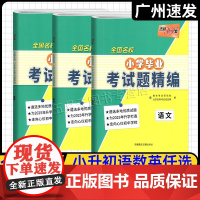 2025版天利38套 全国名校小学毕业考试题精编 语文数学英语 五六年级适用 小升初真题卷必刷题重点名校招生模拟试卷