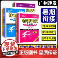 暑期特训30天衔接教材 七升八年级八升九年级初中升高中 语文数学英语物理化学预备7升8年级8升9年级初升高提优暑假作业本