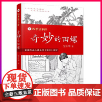 四季读不停系列奇妙的田螺宗介华儿童文学作品集8到12岁/3到6年级十岁孩子的课外书老师小学生三四五六年级故事书经典书目