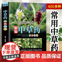正版彩图大全中草药原色图谱中医古籍出版社民间常见生草药数百种文字照片拉丁学名识别特征生境分布性味功用常见病配伍验方