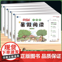 新科100分闯关暑假阅读大考卷一升二升三升四升五升六年级下册升上册暑假衔接教材同步练习阅读理解与写作专项训练作业试卷人教