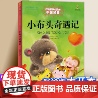 小布头奇遇记 能打动孩子心灵的童话 6-12岁儿童中小学生童话故事课外阅读书籍 小学生一二年级课外阅读书籍 儿童读物