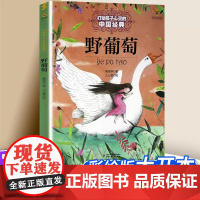 野葡萄 打动孩子心灵的童话故事书 一年级二年级课外书小学生阅读书籍读物6-7-8-10岁少儿图书 张天翼非注音版 中国少