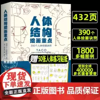 人体结构绘画重点 人体结构 人体绘画 崔元喜 TACO人体 解剖 人体结构绘画教程 绘画技巧 绘画教程 北京科学技术
